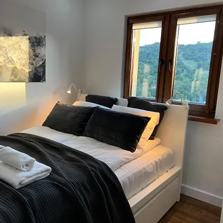 Primo Apartment Szczawnica